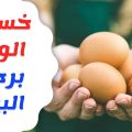 2872 2 رجيم البيض - ماهى حمية البيض الغذائيه الطاف منصور