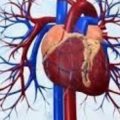 3918 2 علاج مرض القلب - امراض اكثر خطورة بنت محمد