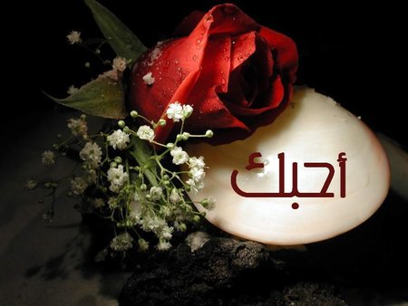 4118 6 انا احبك - اجمل الصور عن الحب بنت محمد