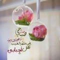 1156 2 صباح الورد حبيبي - صباح الخير حبيبي بنت محمد