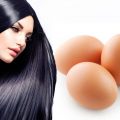 11930 2 وصفة البيض للشعر - ماسك مغذي للشعر الطاف منصور