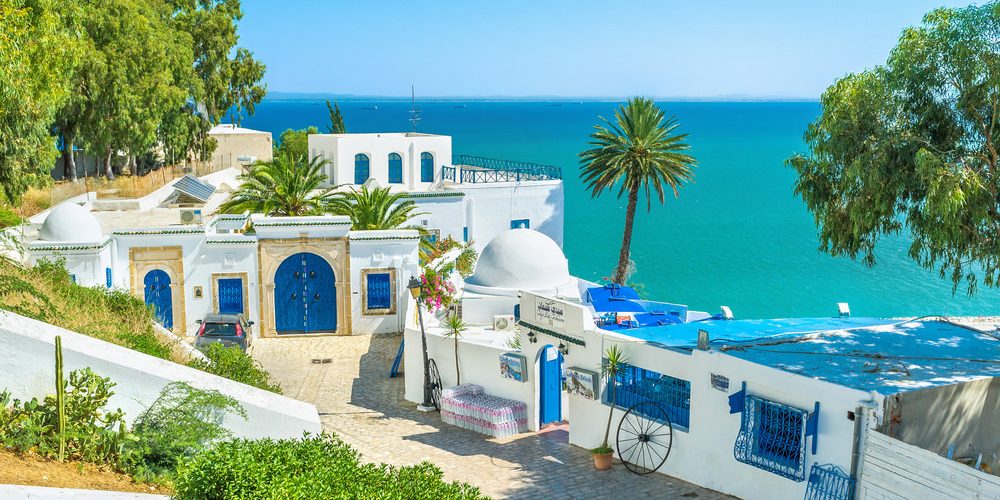 11400 تونس الخضراء - بحث حول تونس الجميلة اثرياء الحب