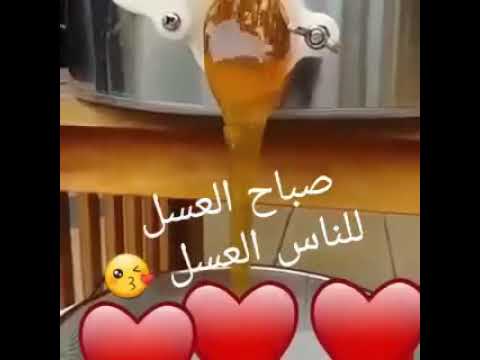 صباح العسل ياعسل